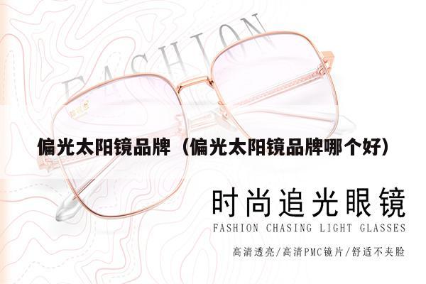 偏光太陽鏡品牌（偏光太陽鏡品牌哪個(gè)好） 第1張